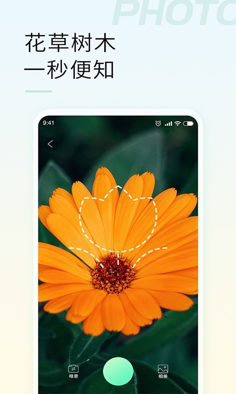 拍照识物下载_拍照识物正式版下载-1