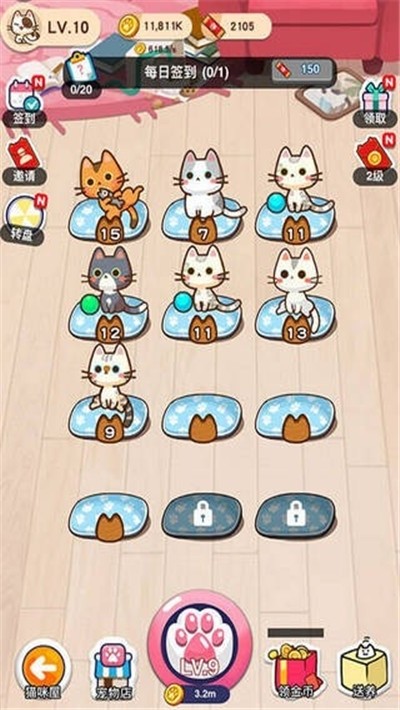萌猫-01