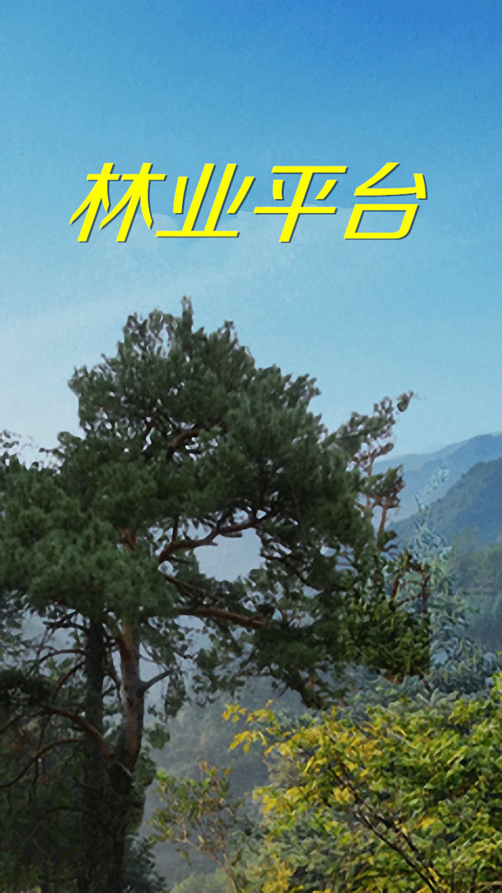 林业平台-01