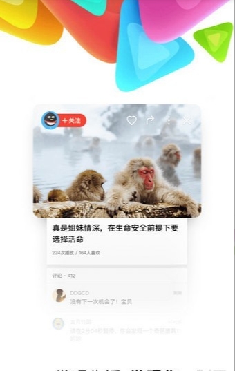 抖多拍-01