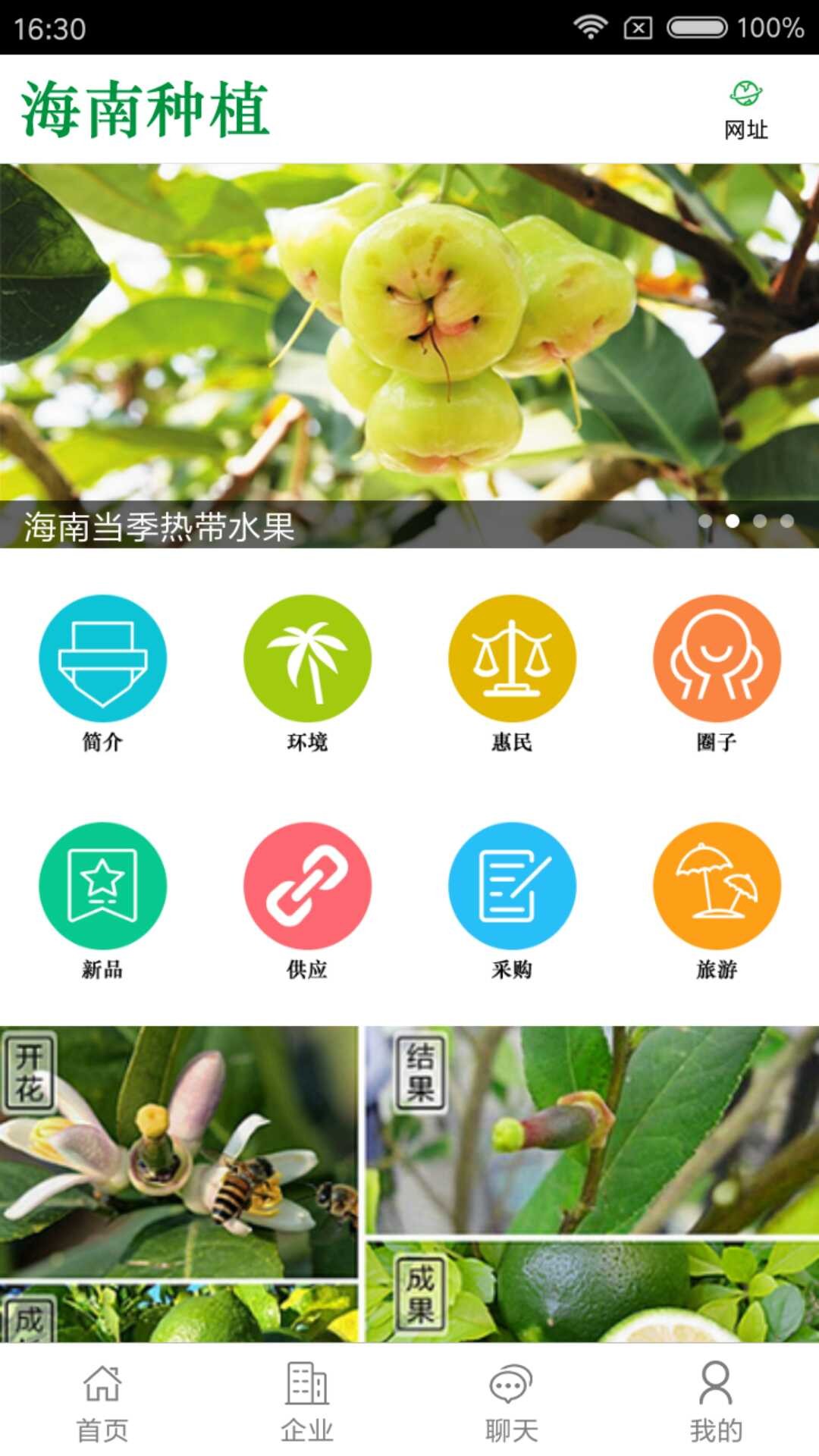 海南种植下载_海南种植ios版下载-2