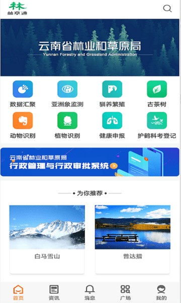 云南林业信息下载_云南林业信息ios版下载-2