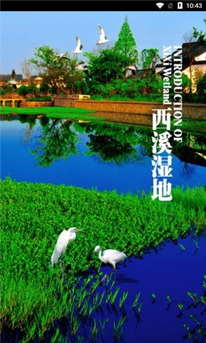 西溪湿地旅游-01