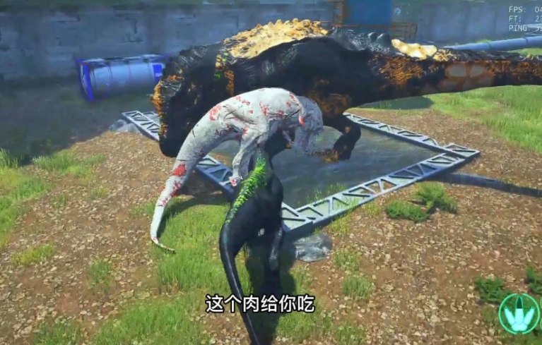 恐龙岛怎么把肉带走