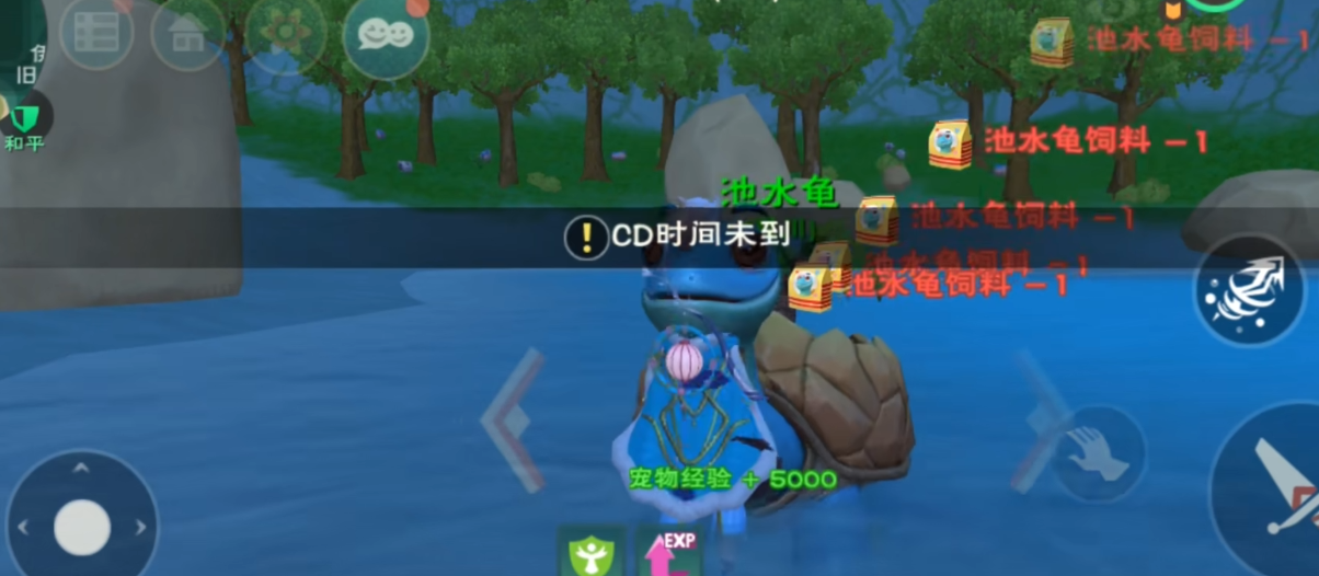 创造与魔法水池龟饲料要多少包