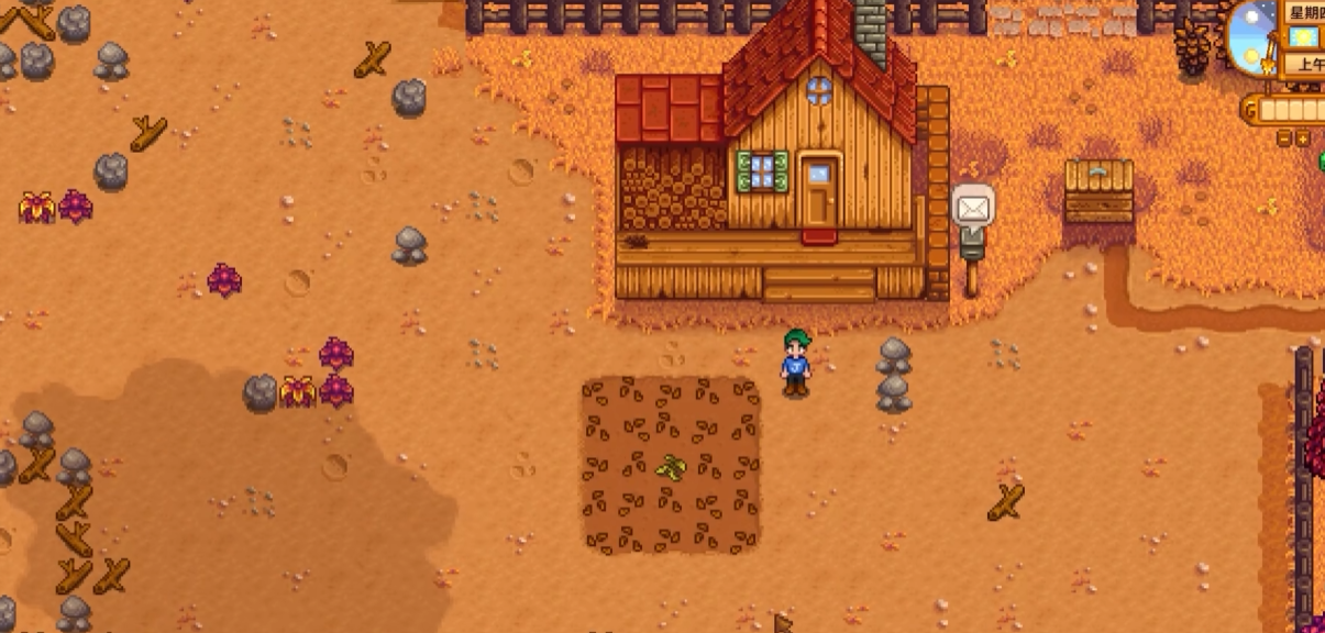 星露谷物语半夜仙女有什么用