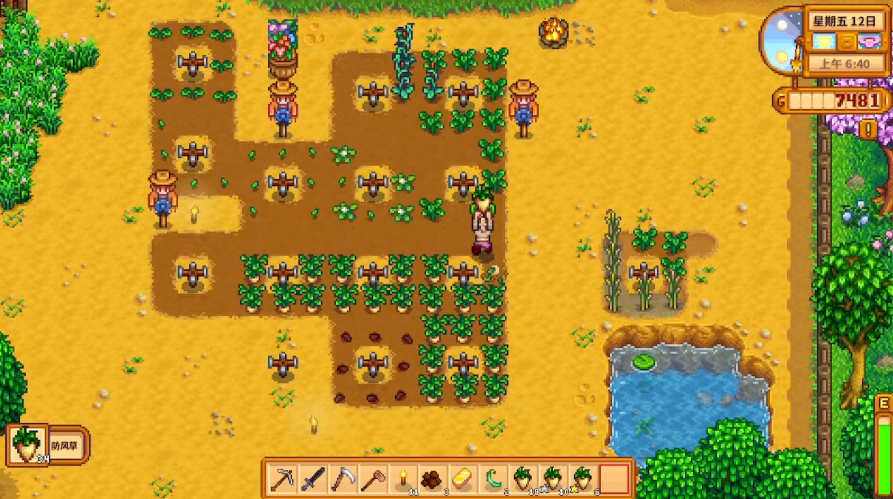 星露谷物语第一年要做什么