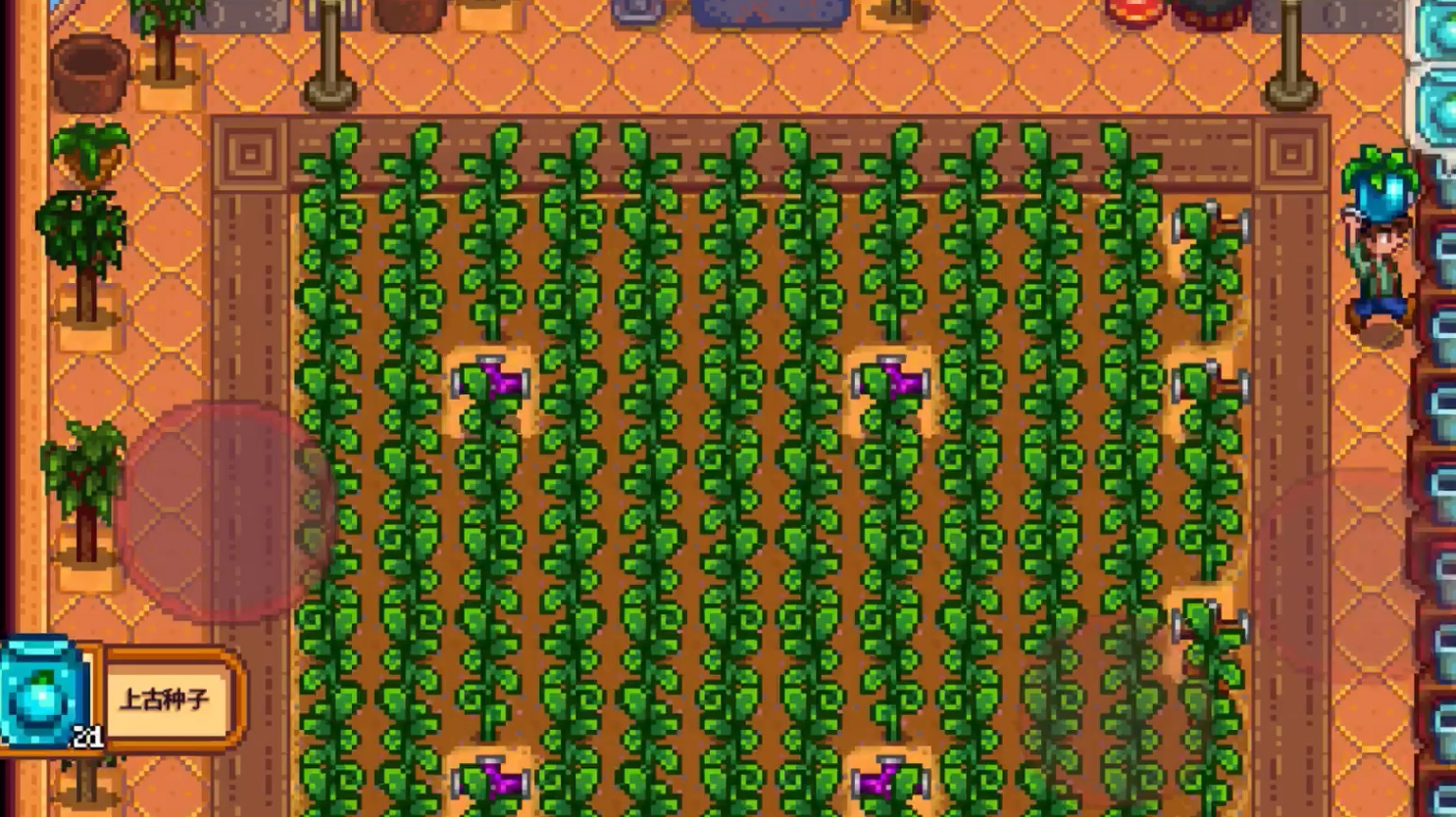 星露谷物语怎么赚钱后期