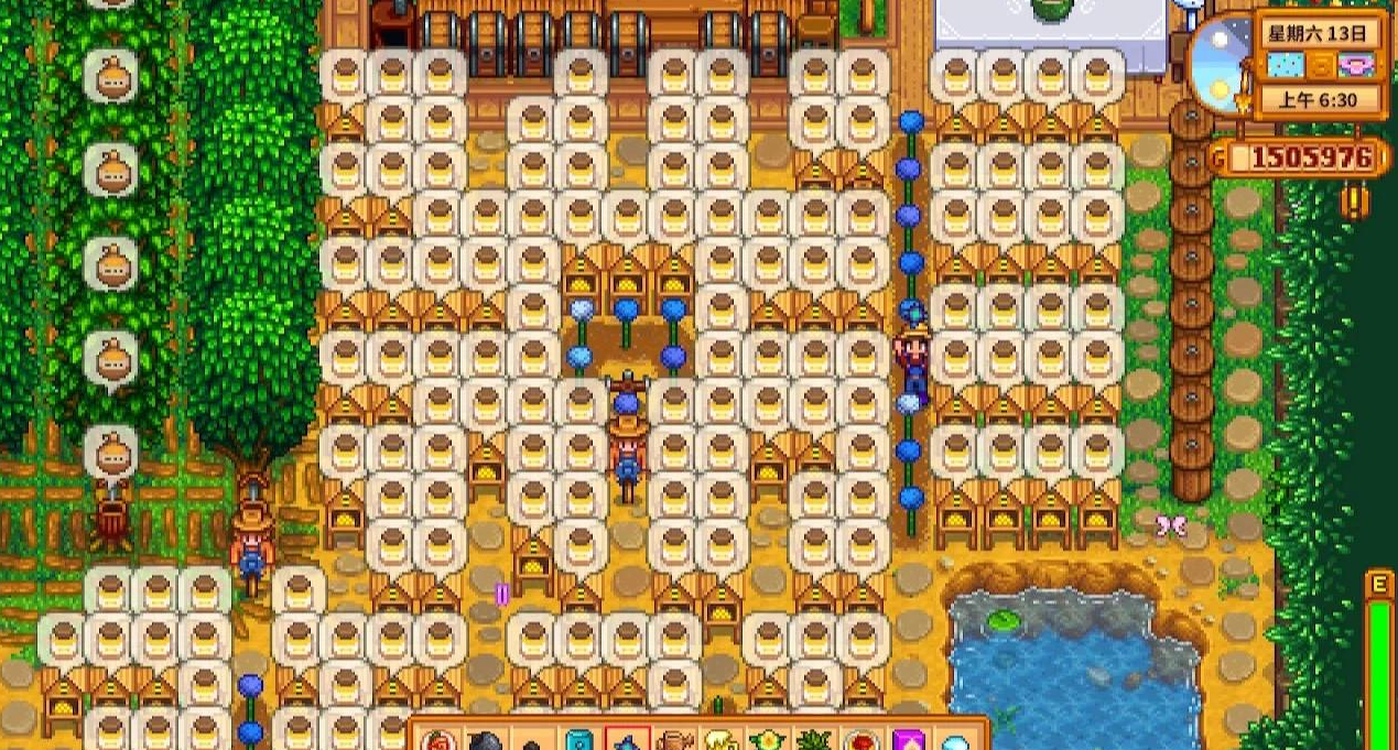 星露谷物语夏天种什么花蜜