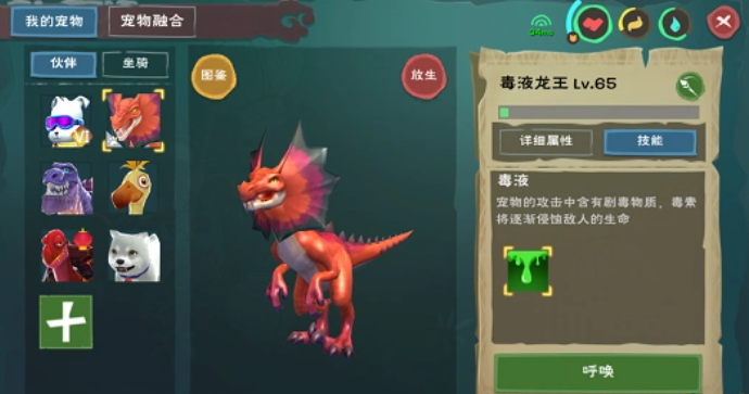 创造与魔法哪个宠物更强