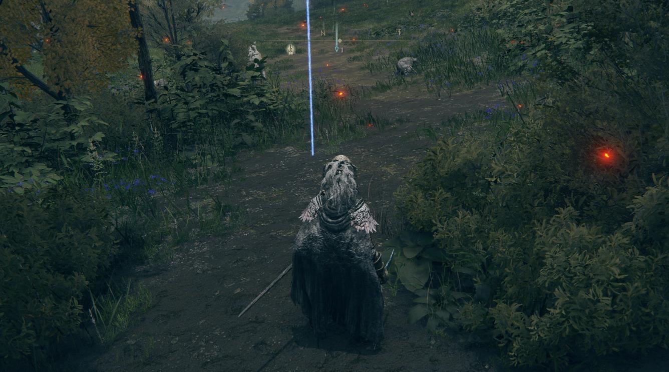 艾尔登法环怎么记忆法术