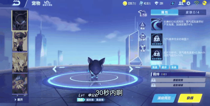 qq飞车手游宠物推荐什么