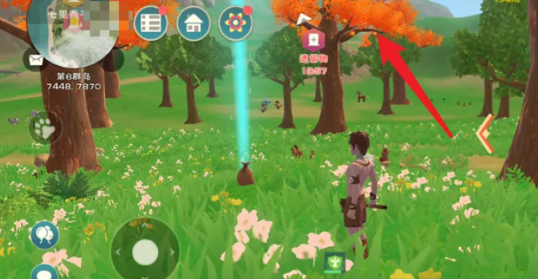 创造与魔法幼型爆炸树哪里多