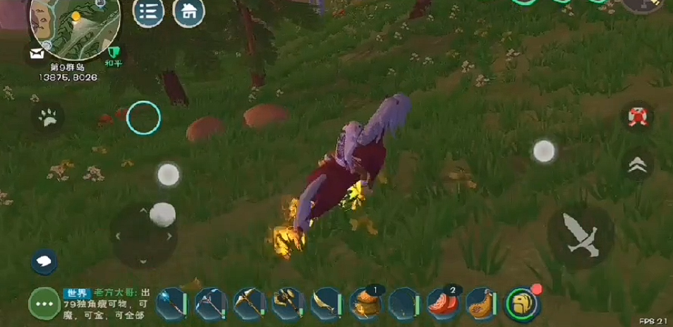 创造与魔法松树在哪里比较多