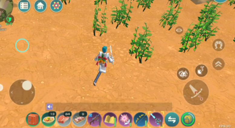 创造与魔法青椒有什么用