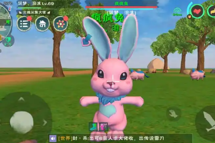 创造与魔法兔子怎么抓