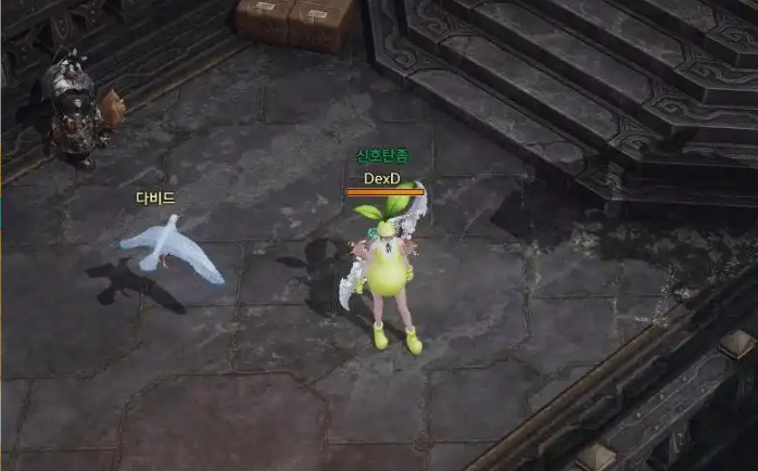 失落的方舟宠物怎么弄