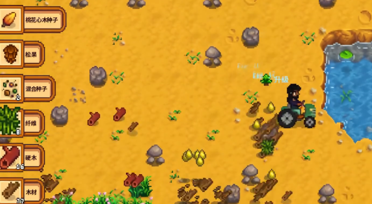 星露谷物语哪里可以获得硬木